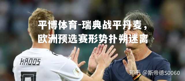 瑞典战平丹麦，欧洲预选赛形势扑朔迷离